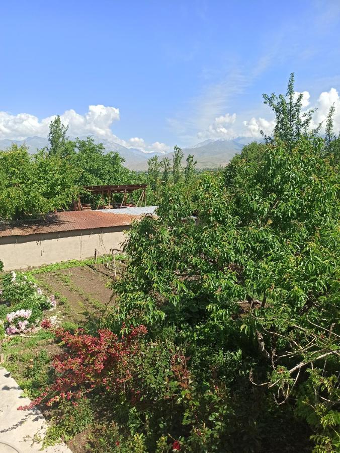 Hotel Toktogul Ghesthouse Extérieur photo